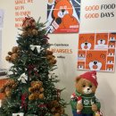 솔모루로 | 포천 소흘읍 카페 베이글 치아바타 맛집 베어글스 방문 후기