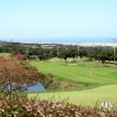 라헨느콘도미니엄 | 제주도 골프장 추천 인기좋은 제주 라헨느cc 예약 후기