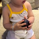 진주-반성-비상-23 | 23개월 아덜과 베트남 여행 (3)