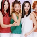 파파야1 이미지