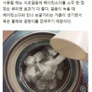 싱크대 썩은 냄새, 식초얼음으로 잡는다 이미지