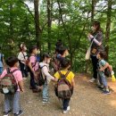 푸른환경개발 네이버블로그