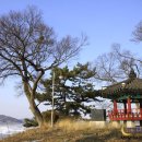 강경원 농장 | [스크랩] 봄꽃, 벚꽃 및 농촌마을, 익산시 문화관광 홍보 팸투어 [4월10~11일]