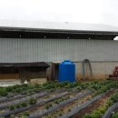 금성 태양광발전소 이미지