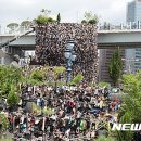 나무슈즈