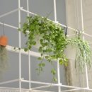 뚝도약국 이미지