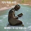 인심이네 이미지