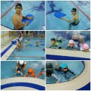 용인대 수영 태권도장 이미지