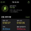 나이끼