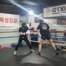 스페셜복싱짐 이미지