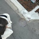 구일초등학교 네이버블로그