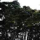별밭에서 | 충북 영동 송호리야영장(송호국민관광지)의 가을 소개~