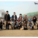 러브멍멍 이미지