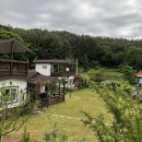 [에어비앤비 추천] 서울 근교 서천 감성 에어비앤비 춘기의 시골집 후기