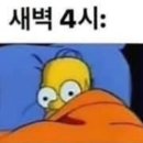 세이 이미지