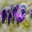 홍도야 우지마라 이미지