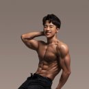 Wellness Gym 이미지