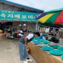 천일태양광3발전소 이미지