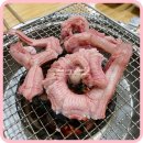 자갈치 산꼼장어 아나고 이미지