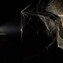 토마스 사라세노 <행성 그 사이의 우리> 이미지