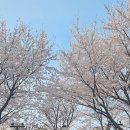 반월놀이공원 이미지