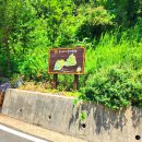 유아숲화장실 이미지