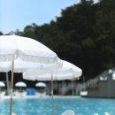 발리376 - 6439 | 발리376