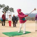 파크골프 이미지