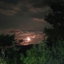 무주읍196 네이버블로그