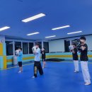 한국체대 다온태권도 이미지