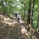 소금길 2코스 이미지