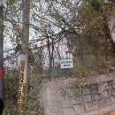 판이농장 이미지