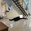 알테르문디 이미지