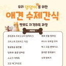 댕케이크 | 애견수제간식/애견간식/반려견수제간식/반려묘간식/양산수제간식/부산수제간식/수제간식/멍케이크/댕케이크