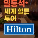 [일등석 세계일주 호텔편] 힐튼 다이아몬드로 누린 세계 15개 도시, 30박 힐튼호텔투어 리얼후기