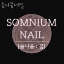 솜니움네일 | 솜니움네일 부천네일샵추천
