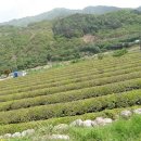 동방온천사우나 이미지