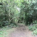 제주 올레길 14-1코스 이미지