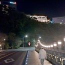 서홍동-7 티스토리
