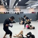 팀매드청주 이미지