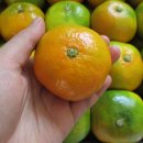 기원농장 이미지