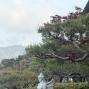 드라곤레이크CC | 골린이도 치기 좋은 남원 드래곤CC 후기｜퍼블릭골프장인데 그린상태가 이정도라고? (코스 난이도·그린...