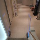 레몬사우나 이미지