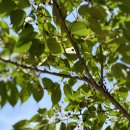 호압사 화장실 이미지