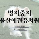 멍지중지 이미지