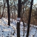 고대1리 | 금성세맥(금성분맥) 왕복종주 (비암산 - 수디산 - 금성산 - 작성산)(비수금작)