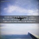 스타럭스 이미지