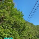 오무마을 입구 이미지