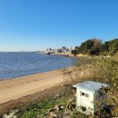 오이도종합어시장 이미지