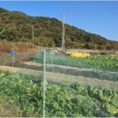 개천안주말농장펜션 이미지